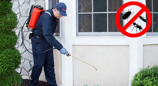 Doğubayazıt Akrep İlaçlama böcek ilaçlama ve haşere kontrolü — ilaclama-tr.com
